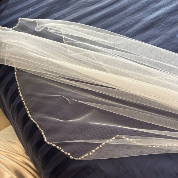 Veil - Picture 4 of 4